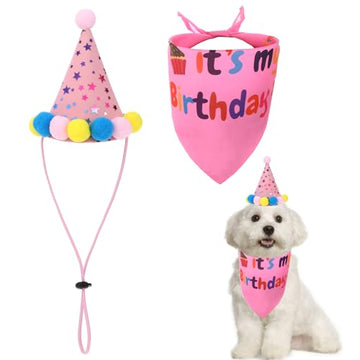 Pink Dog Birthday Bandana Set