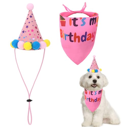 Pink Dog Birthday Bandana Set