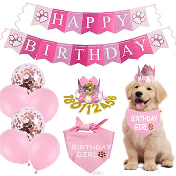 Deluxe Dog Birthday Party Set