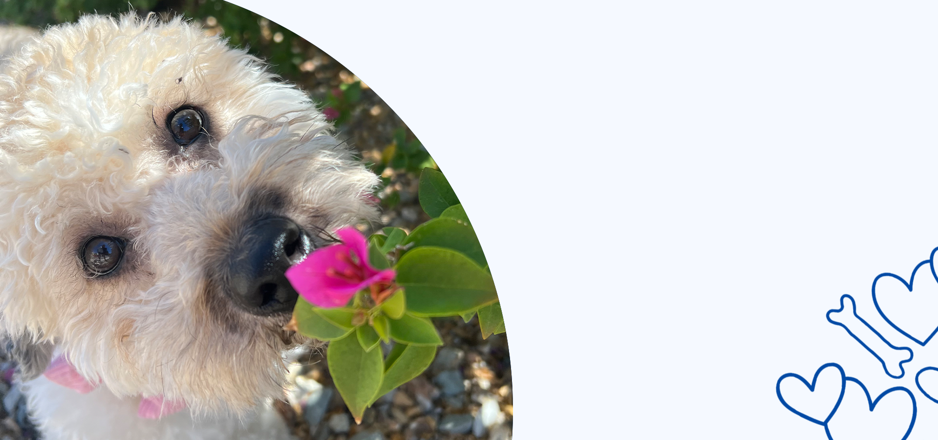 slider image slider_item_YqejQX