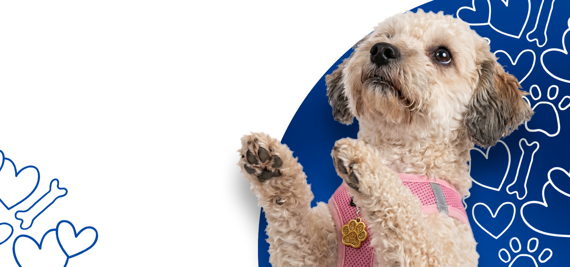 slider image 1621243260e1af0c20-2