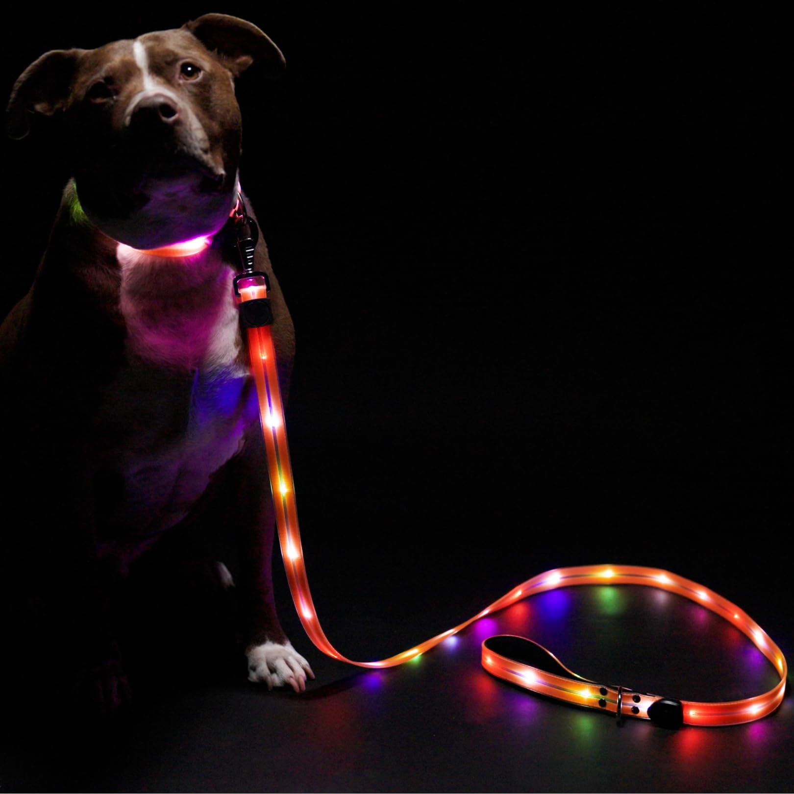 Light-Up LED Dog Leash