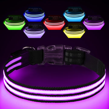 Light-Up LED Dog Collar