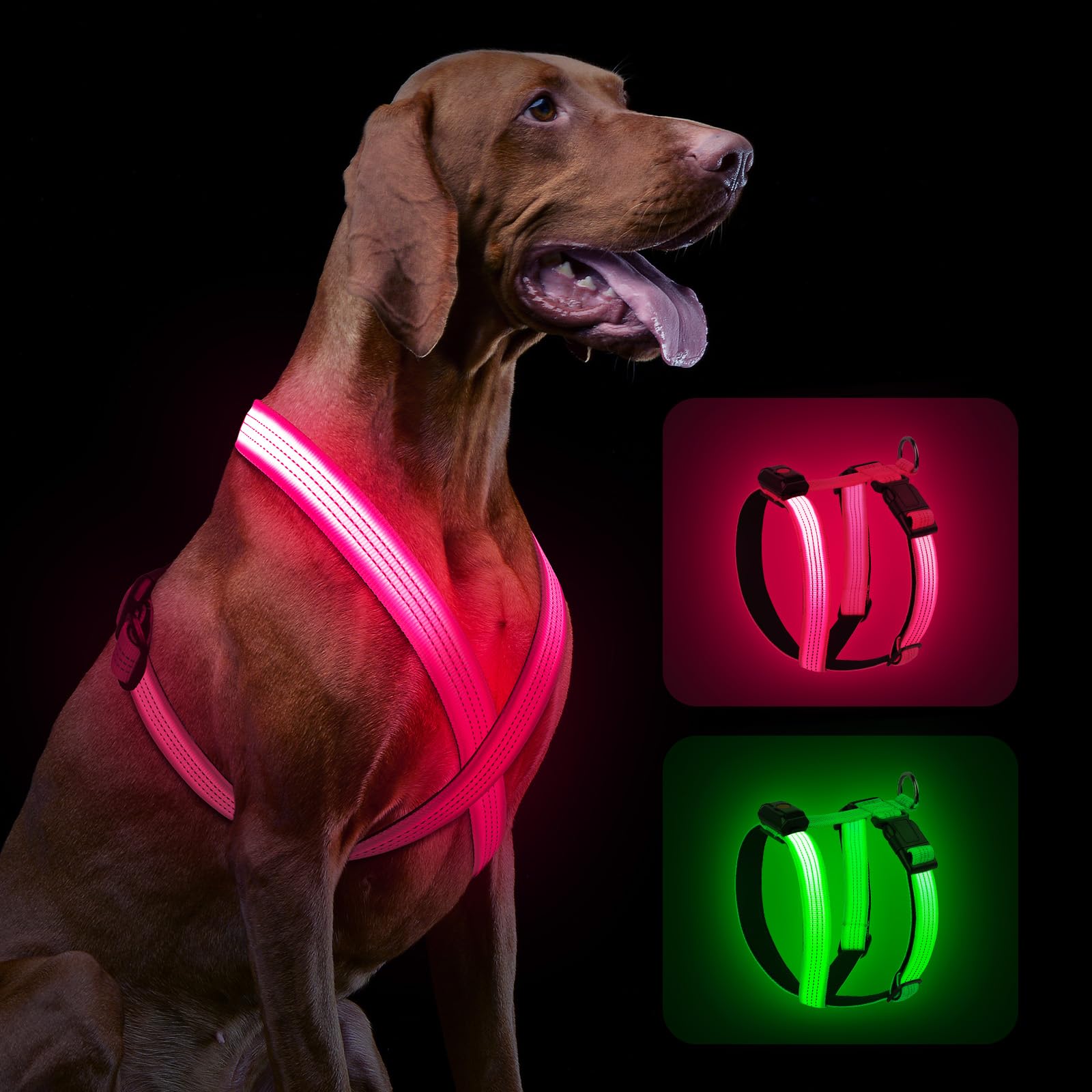 Light-Up LED Dog Harness