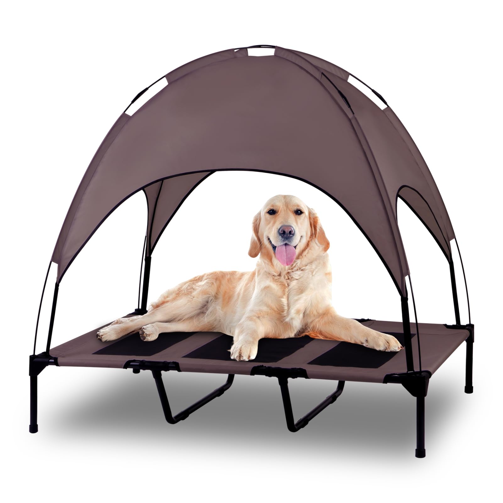 Dog Bed with Canopy Raised Removable Cover
